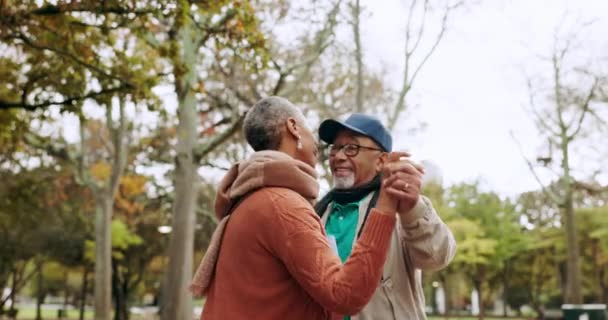 Öreg Pár Táncol Parkban Boldogság Szerelem Házasság Elkötelezettség Szeretet Energia — Stock videók