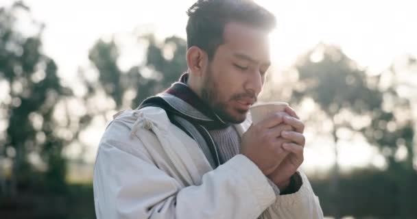 Mañana Libertad Hombre Que Acampa Beber Café Aire Libre Naturaleza — Vídeo de stock