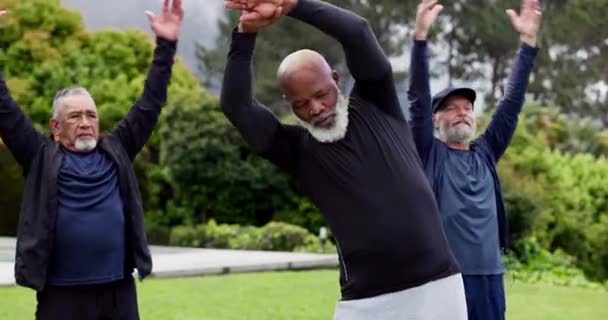 Hombres Aire Libre Estiramientos Ancianos Con Fitness Ejercicio Entrenamiento Con — Vídeo de stock