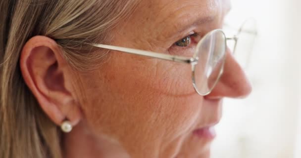 Gesicht Nahaufnahme Und Frau Mit Brille Für Augenuntersuchungen Klinik Und — Stockvideo