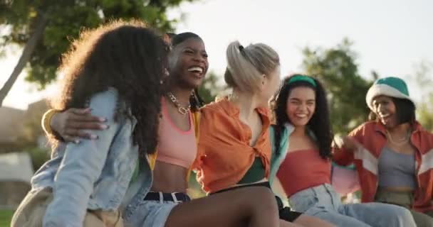Râsul Îmbrățișarea Prietenii Natură Pentru Legătura Transmisiunea Weekendul Împreună Fericit — Videoclip de stoc