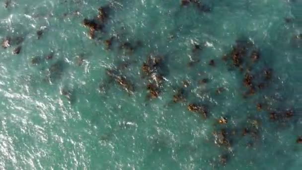 Oceano Recife Coral Água Com Vista Drone Ilha Tropical Localização — Vídeo de Stock