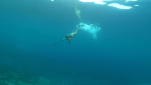 Šnorchlování Kopí Žena Oceánu Pro Rybolov Lov Lov Ryb Dobrodružství — Stock video