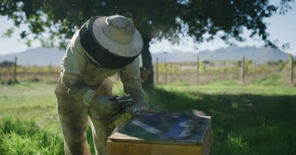 Bienenfarm Bienenstock Und Imker Mit Rauchmaschine Für Die Honigzucht Waben — Stockvideo