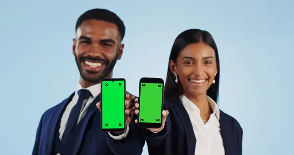Business people, portrait and phone with green screen for advertising against a blue studio background. Businessman and woman employee showing mobile smartphone display, chromakey or mockup space.