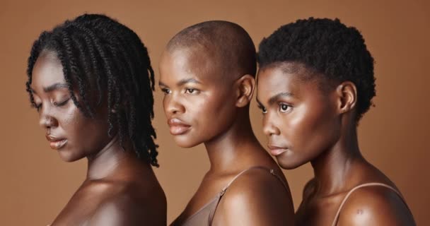 美丽和年轻的黑人妇女在演播室里与发光 自然和面部常规 具有褐色背景皮肤科治疗的非洲女性朋友的健康 美容美感和肖像 — 图库视频影像