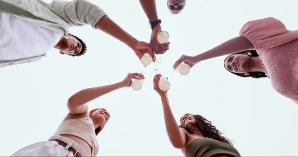 大家一起喝酒 举杯庆祝新年 庆祝派对 庆祝佳节 社交生活快乐的朋友们 下午茶加苏打水 葡萄酒或姜汁啤酒 庆祝一番 — 图库视频影像