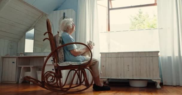 Senior Woman Window Dog Home Vision Memory Thinking Care Love — Stock Video