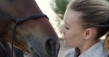 Kadın, at ve öpücük çiftlikte, yaz ve at binmeye, eğitime ve doğada maceraya hazır. Kovboy, binici ya da çiftçi evcil hayvanı, hayvanı ve Teksas 'ta güvenlik için teçhizatlı aşkı olan biri..