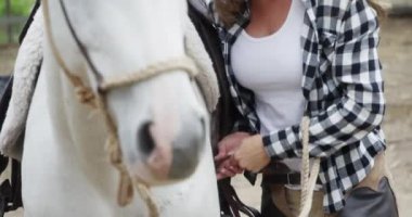 Kadın, at ve eyer Teksas 'ta, kırsalda ve kovboy şapkasıyla at binmek için hazır. Çiftlik, ahır ve doğa açık havada, macera ve çiftlik hayvanlarıyla kovboy, evcil hayvan ve çiftlik kızıyla.