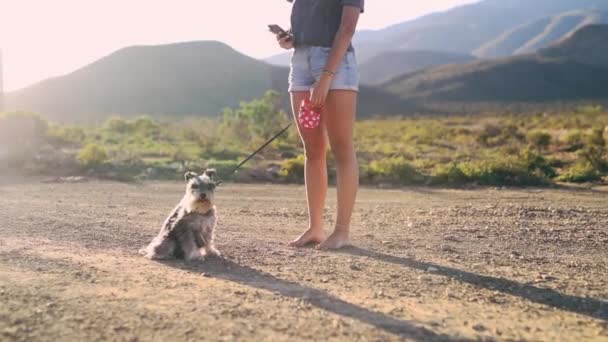 Vrouw Hond Pad Telefoon Natuur Touw Met Bergen Contact Chat — Stockvideo