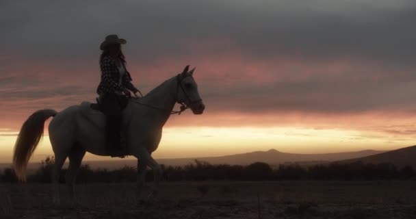 Mujer Vaquera Caballo Montar Campo Para Puesta Del Sol Viajes — Vídeo de stock