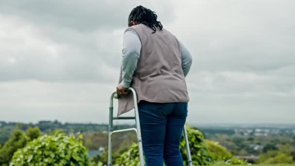 Mujer Negra Mayor Con Andador Retiro Caminando Aire Libre Jardín — Vídeos de Stock