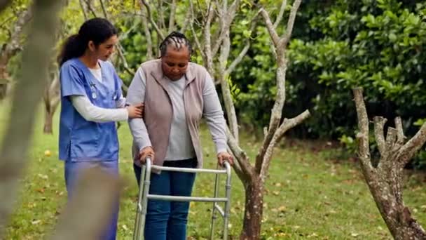 ウォーカーと庭の看護師を抱える老婦人は 幸せな看護施設で助けたり 信頼したりしています シニアケア 高齢者 介護者は笑顔 草と一緒にフレームで歩きます — ストック動画