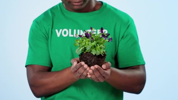 Студійний Волонтер Руки Людина Рослинним Зростанням Землею Показують Зелене Листя — стокове відео