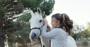 Kadın, at ve koşum takımı çiftlikte ve at binmeye, eğitime ve yaz için gülümsemeye hazırlar. Kovboy, binici ya da çiftçi evcil hayvanı, hayvanı ya da teçhizatı olan Teksas 'ta güvenlik için teçhizatı olan biri..