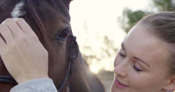 馬やストローク 農場でのケアで 夏や乗馬の準備 トレーニングや自然の冒険で牧場 カウガール 馬小屋やペットと人 動物やテキサス州の安全のためのギアで愛 — ストック動画
