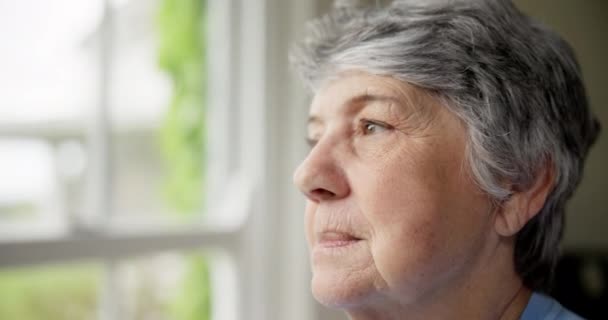シニア女性 ストレス 将来の窓から心配する 高齢の女性 看護施設のためのうつ病や神経質 恐怖と疑念やクローズアップの選択の後悔 — ストック動画