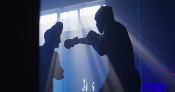 Hommes Boxeur Fitness Salle Gym Entraînement Silhouette Pour Entraînement Boxe — Video