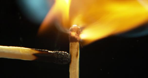 Zapalte Požár Hořící Zápalky Černém Pozadí Pro Teplo Světlo Osvětlení — Stock video