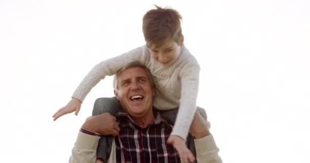 재미와 할아버지 관계에 야외에서 아이를 사랑과 할아버지와 자연에서 주말에 자유를 — 비디오