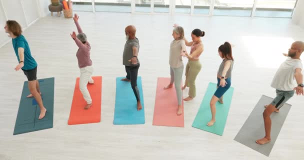 Yoga Vue Sur Dessus Les Personnes Qui Étirent Classe Pour — Video