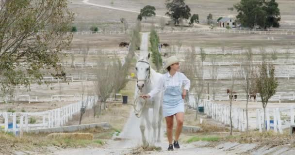 Ранчо Кінні Прогулянки Або Жінка Сільській Місцевості Відкритому Повітрі Вершником — стокове відео