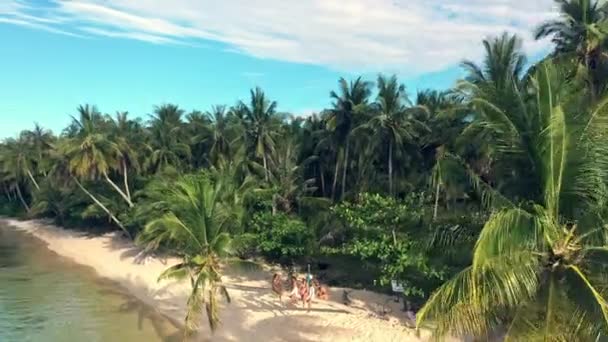 Острів Вид Дрон Друзів Пляжі Пригод Відпочинку Літньої Відпустки Маврикії — стокове відео