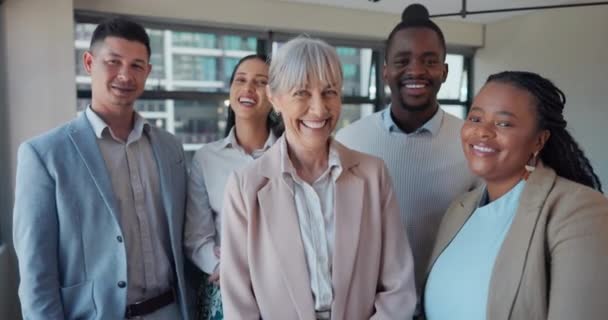 チームワーク コンプライアンス 法律代理店の多様性を持つ弁護士グループ 顔と笑顔 弁護士 弁護士 提唱者または連帯のための企業法事務所の職場における男性 リーダー — ストック動画