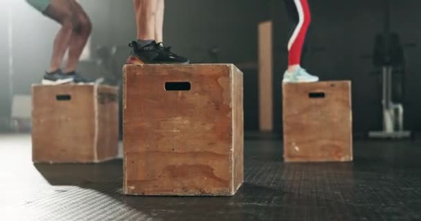 Gym Grupp Och Box Jump För Träning Träning Och Kardio — Stockvideo