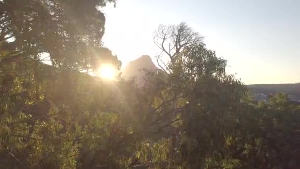 Ландшафты Деревья Открытом Воздухе Восходом Солнца Экологии Летом Линзами Экологически — стоковое видео