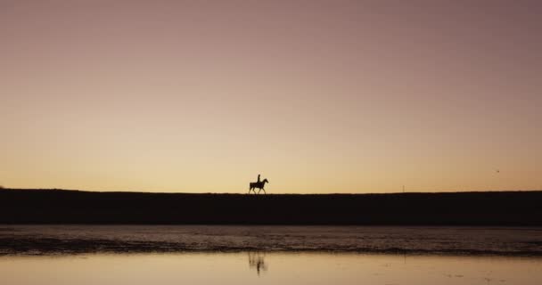 Osoba Koń Zachód Słońca Nad Jeziorem Sylwetką Jazda Przygoda Przestrzeń — Wideo stockowe