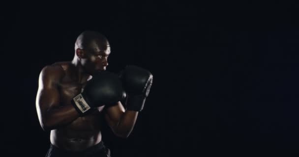 スタジオのアスリート ボクシング アフリカのボクサーは フィットネスやウェルネスに黒の背景に力を与えます エネルギー スポーツファイターまたは強力な男は トレーニング 戦闘トレーニングや戦闘エクササイズでパンチ — ストック動画