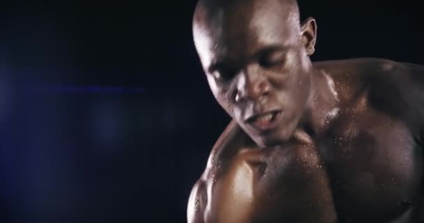 スタジオ ダンベルまたは強力な男性トレーニング 筋肉や体力のための運動やトレーニング 濃縮カール ボディービルダー アフリカのアスリートは黒い背景の二重ピープのための重量を持ち上げます — ストック動画