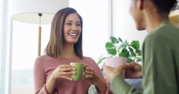 Café Conversa Jovens Mulheres Sala Estar Unindo Rindo Conversando Juntos — Vídeo de Stock