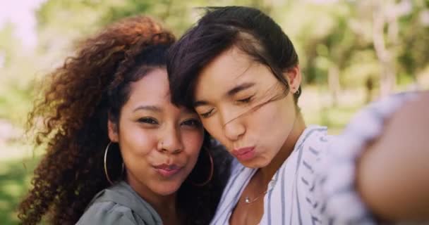 Sociala Medier Ansikte Eller Lesbiska Par Selfie Parken Tillsammans Blogg — Stockvideo