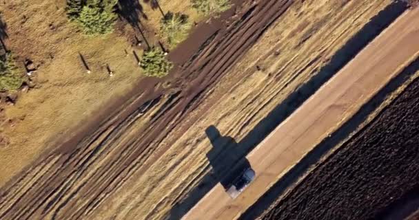 Viaje Por Carretera Viaje Automóvil Vista Aérea Drones Calle Naturaleza — Vídeo de stock