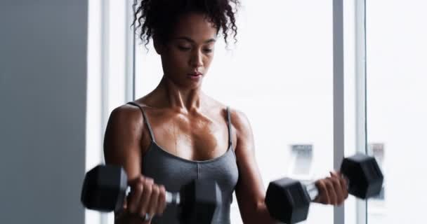 Kurzhanteln Fitness Und Frauentraining Fitnessstudio Für Muskeln Gesundheit Und Wellness — Stockvideo