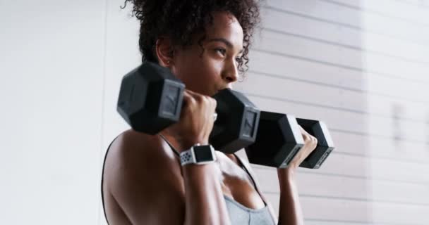 Hantlar Träning Och Kvinnlig Träning Gym För Muskler Hälsa Och — Stockvideo