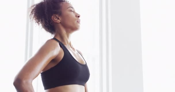Entraînement Transpiration Femme Salle Gym Respiration Avec Engagement Fitness Entraînement — Video