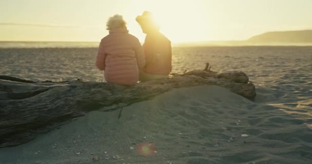 老年妇女 朋友和聊天在海滩上的木柴 记忆和谈话与日落重逢 老太太 人与自然背靠背 聊天和放松与自由 度假和退休 — 图库视频影像