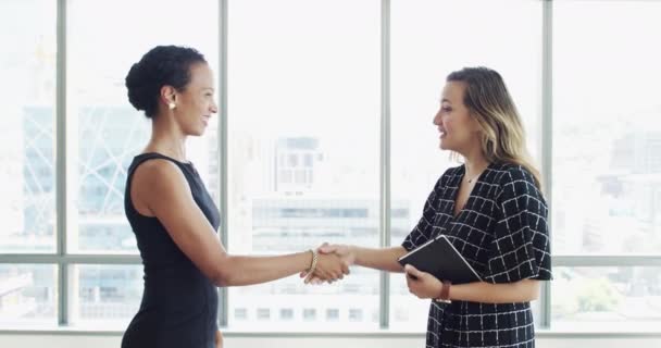 Kobiety Biznesu Uścisk Dłoni Zapraszamy Partnerstwa Wprowadzenie B2B Rozmowy Tworzenie — Wideo stockowe