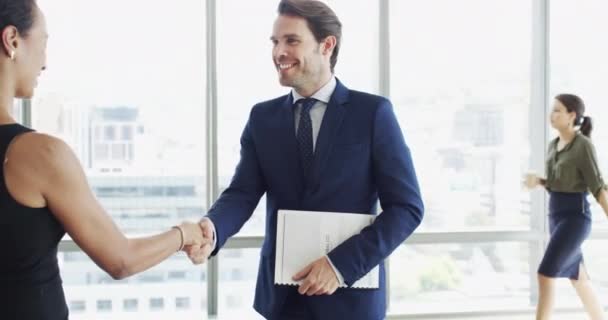 Business People Shaking Hands Job Interview Human Resources Meeting Career — Stock Video