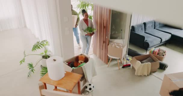 Excité Emménager Les Enfants Dans Maison Familiale Avec Des Boîtes — Video