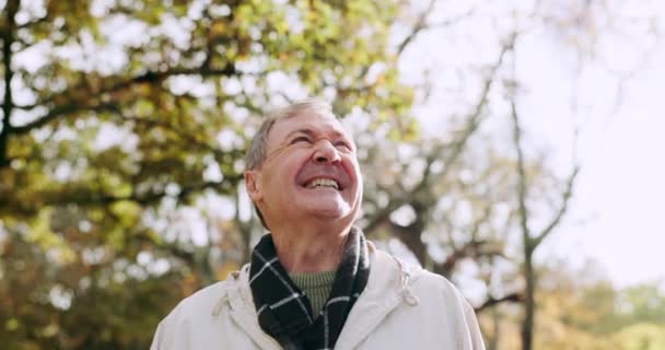 Природа Счастливый Пожилой Человек Парке Улыбкой Свободы Расслабления Солнца Спокойствия — стоковое видео
