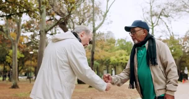 Starsi Mężczyźni Piesze Wycieczki Piesze Leśne Wsparcie Fitness Emerytury Parku — Wideo stockowe