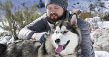 İnsan, kışın yol ve kar, köpek ve dağda oynamak, hayvan ve tatil. Macera, açık hava ve doğa için İzlanda 'da tatil, evcil hayvan ve Alaska Malamute eğlence için hobi ve zirve.