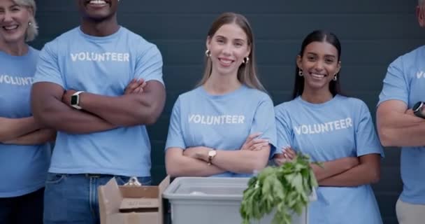 Wapens Gekruist Vrijwilligersgroep Gelukkige Mensen Met Boodschappen Pakket Donatie Voorraad — Stockvideo
