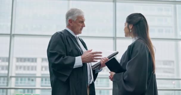 Sędzia Mentor Szkolenie Prawnika Mówiącego Lub Planującego Strategię Dochodzeniową Sprawach — Wideo stockowe
