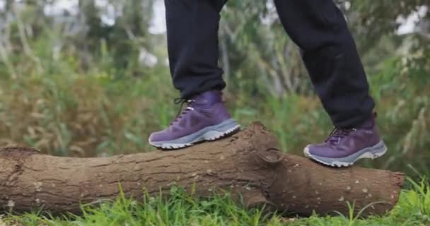 Piedi Gambe Camminare Sul Tronco Escursioni Nella Foresta Con Natura — Video Stock